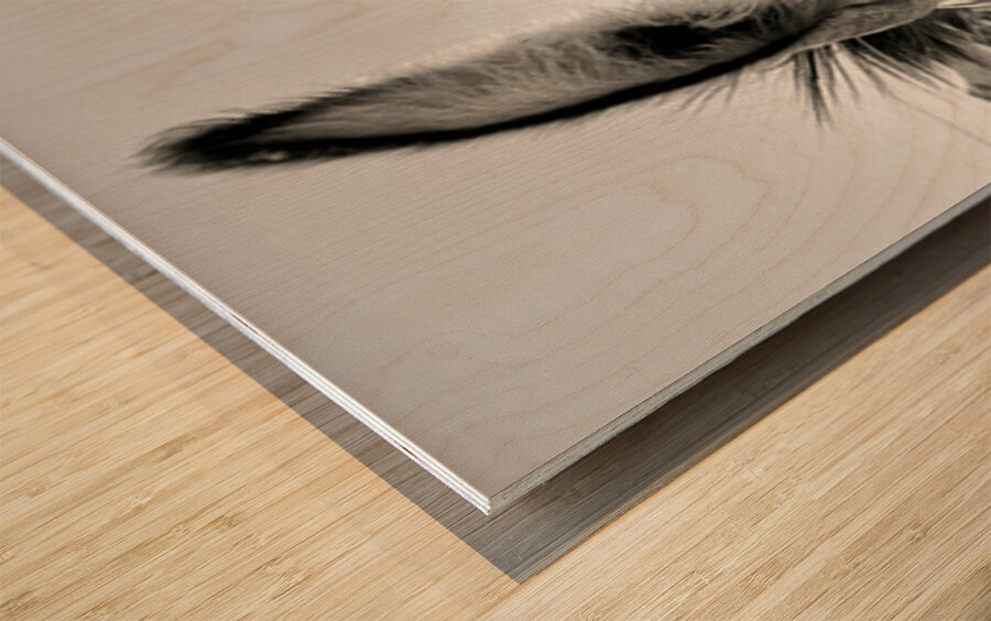 Oliver the Sheriff of Oatman - 2 Wood print