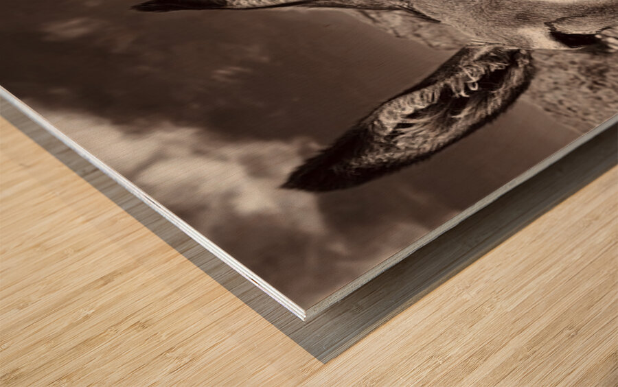 Welcome to Oatman Wood print