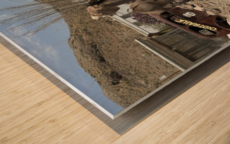 Street Party Wood print