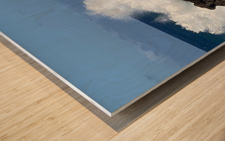 On the Rocks Wood print