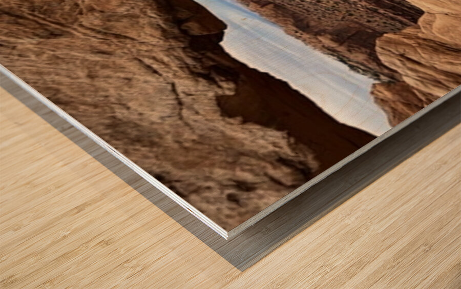 The land before time Wood print