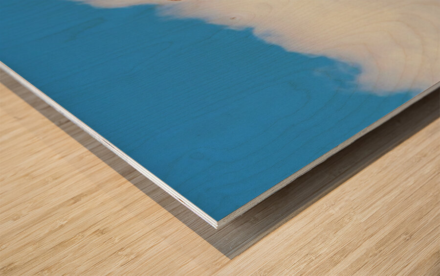 Delicate Arch Wood print