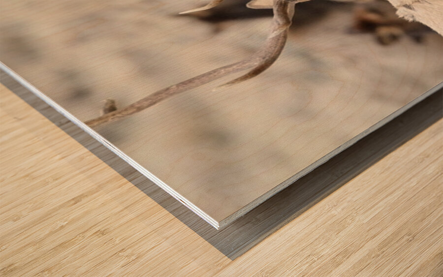 F3A5ABA5 DED2 4A0F 9CA3 F81AD213DC14 1 105 c Wood print