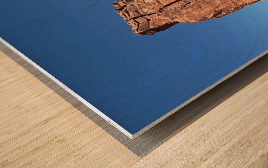 The Organ Wood print