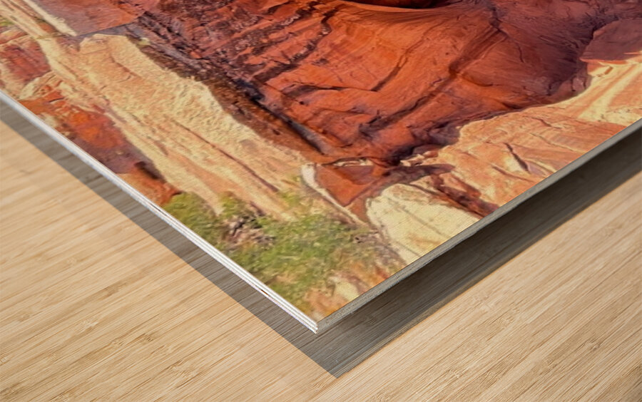 Natural Bridges - 1 Wood print