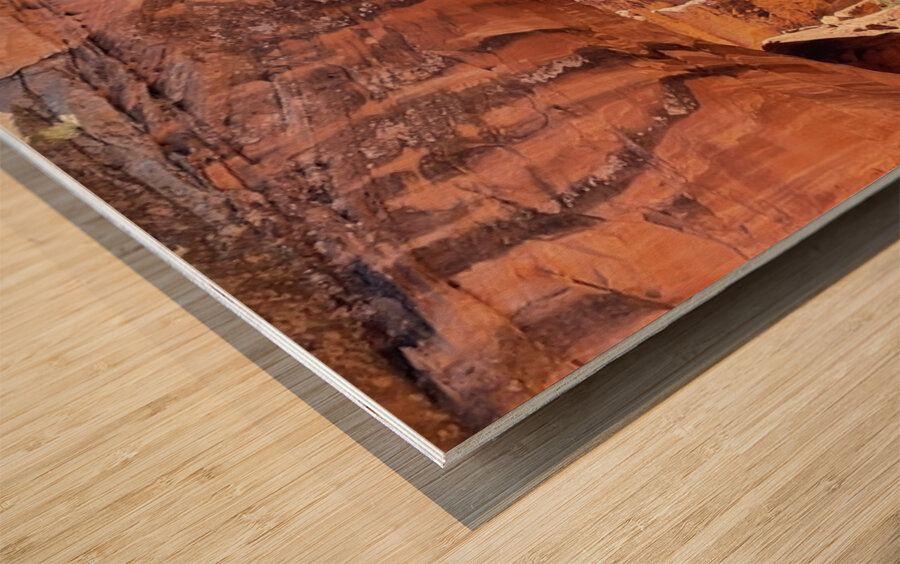 Natural Bridges - 2 Wood print