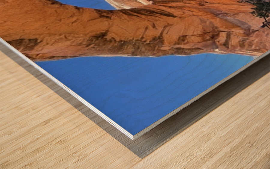 Gemini Twins Wood print