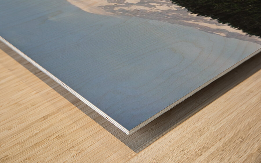 Mt Rainier - horizontal Wood print