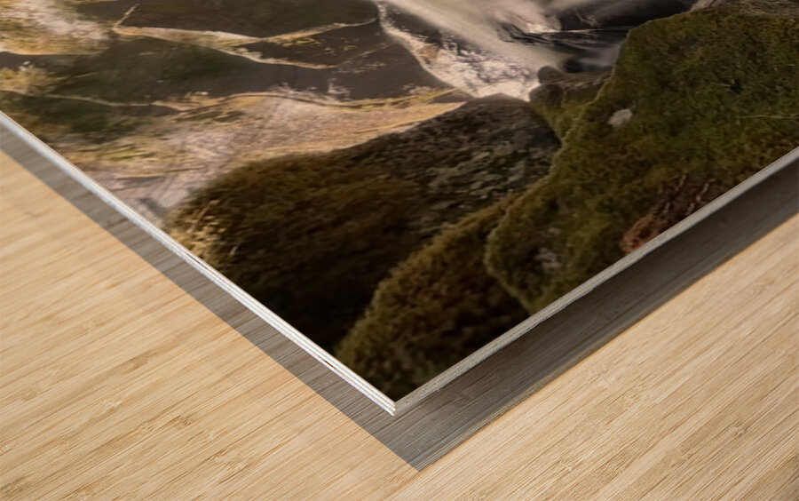 Forest Flow -2  Wood print