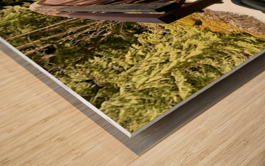 Bridge over Deception Falls Wood print