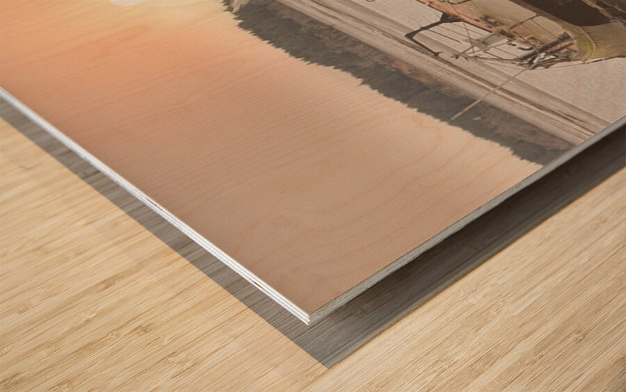 Faded Dreams Wood print