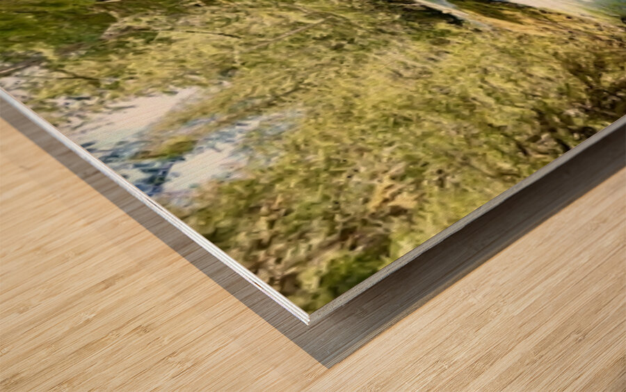 Deception Falls -1 Wood print