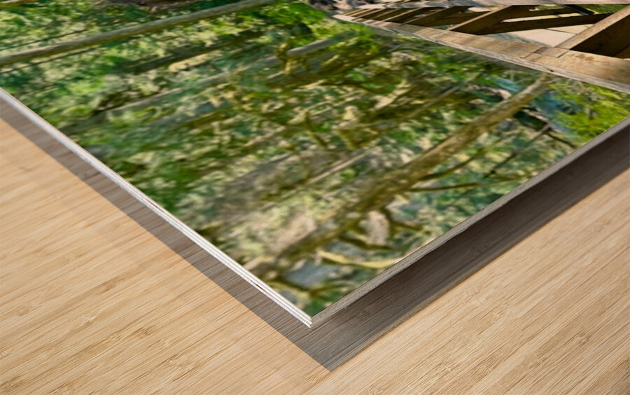 Forest Bridge Wood print