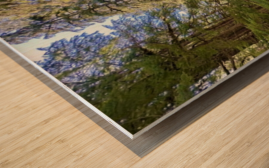 Beautiful…. Wood print