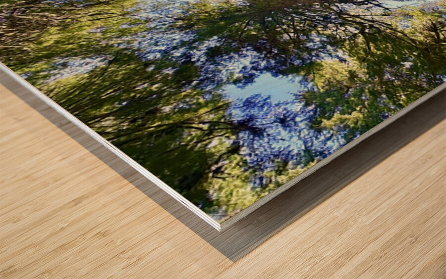 Tall Tall Trees Wood print