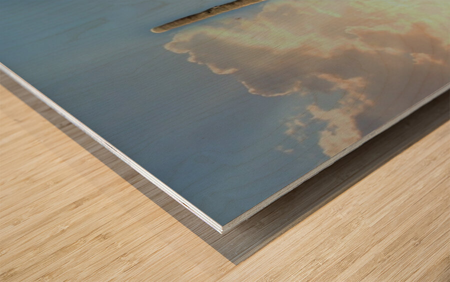 Saguaro Dream Wood print