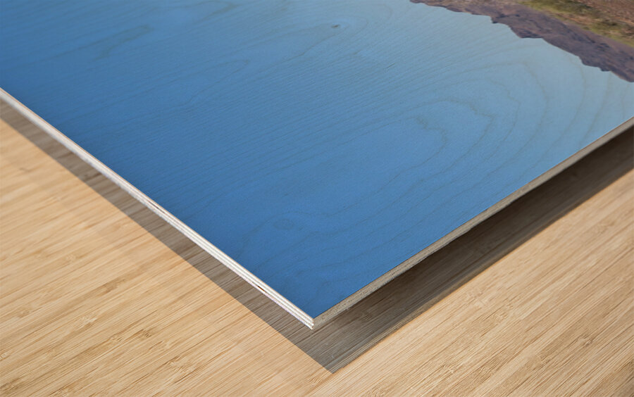 Saguaro desert scene Wood print