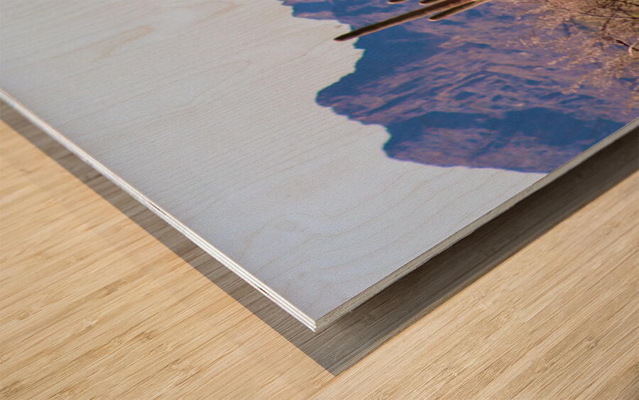 Desert landscape - Quartzsite Wood print