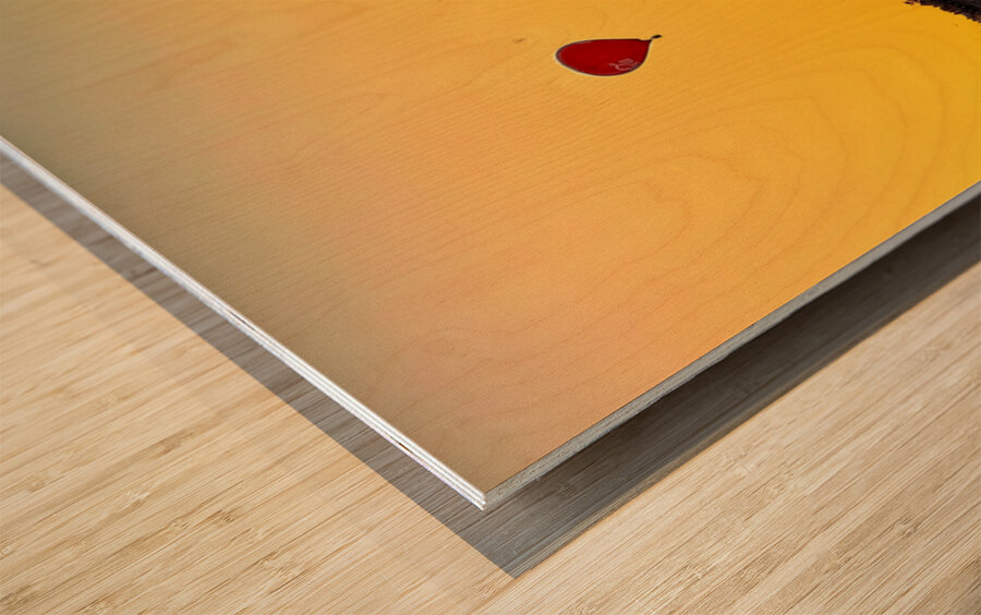 Red Balloon in the channel Wood print