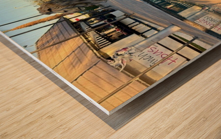 Reflection at the gate to English-2 Wood print