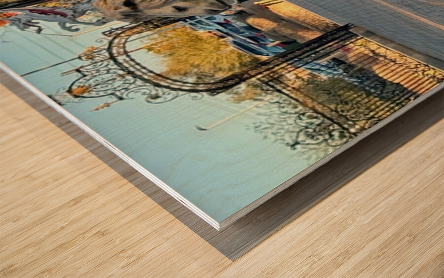 Reflection at the gate -1 Wood print