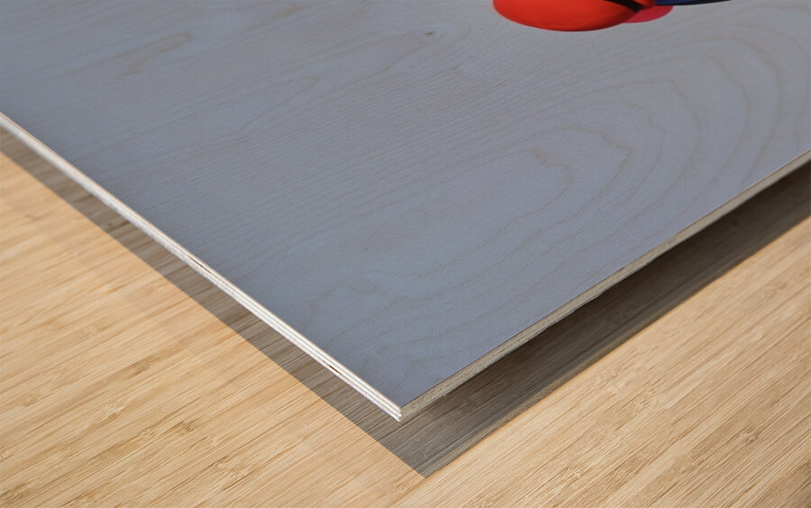 The Jester Wood print