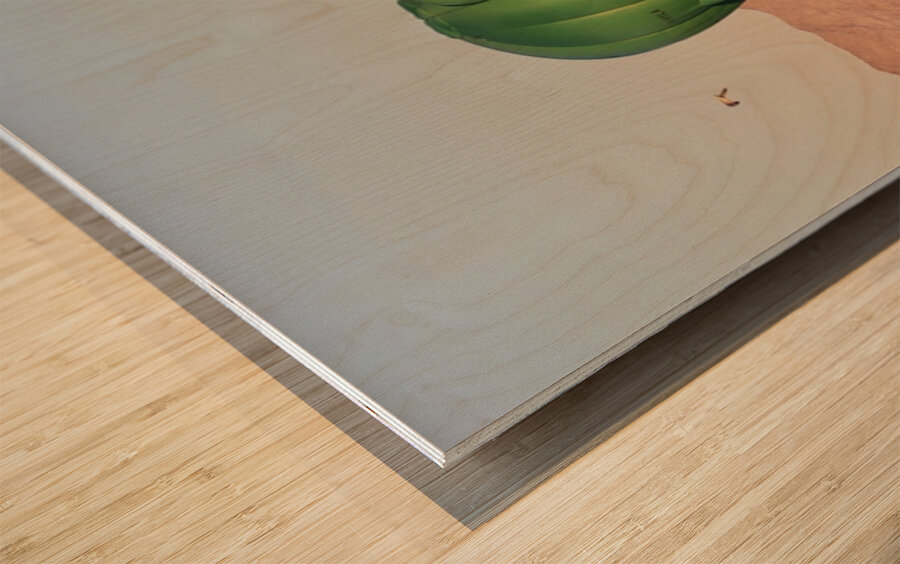 Frog & Bee Wood print