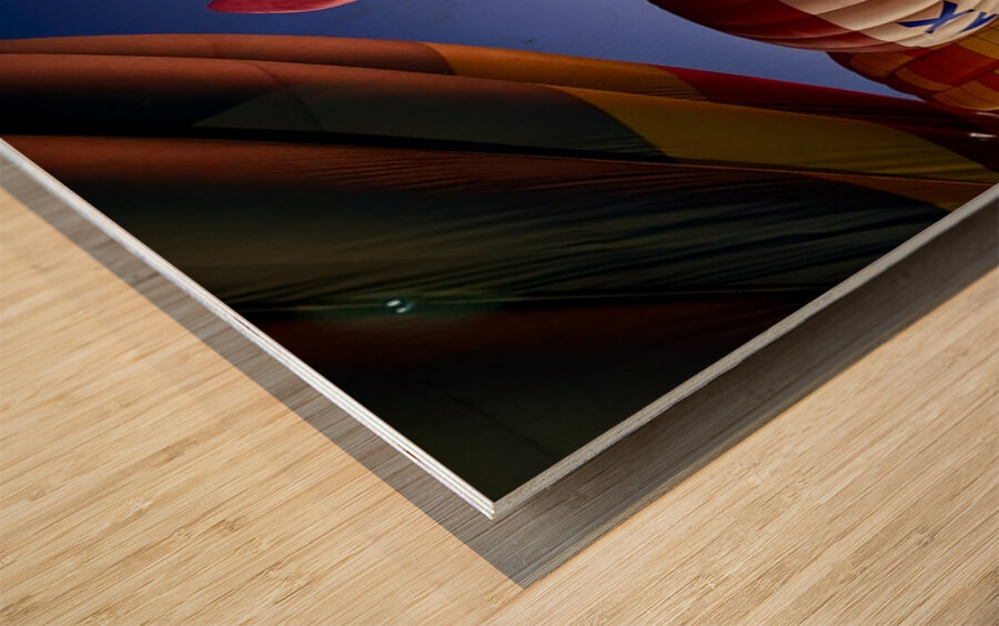 Standing at attention ready for flight Wood print