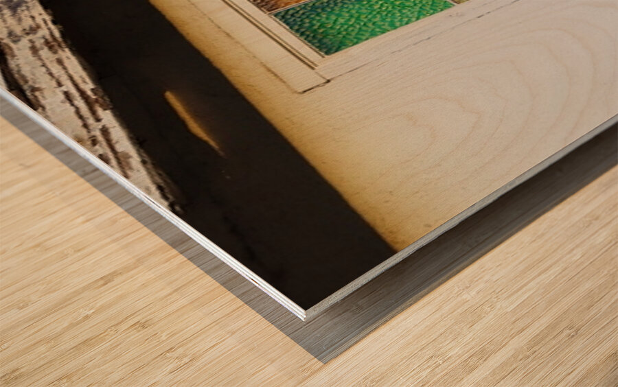 Stained Glass Wood print