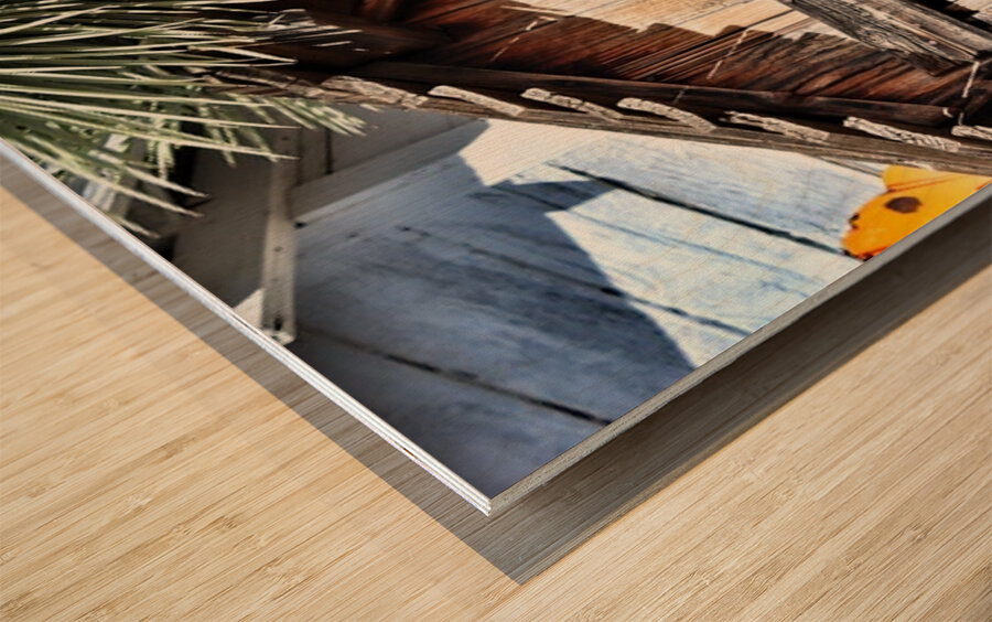 Outhouse -2 Wood print