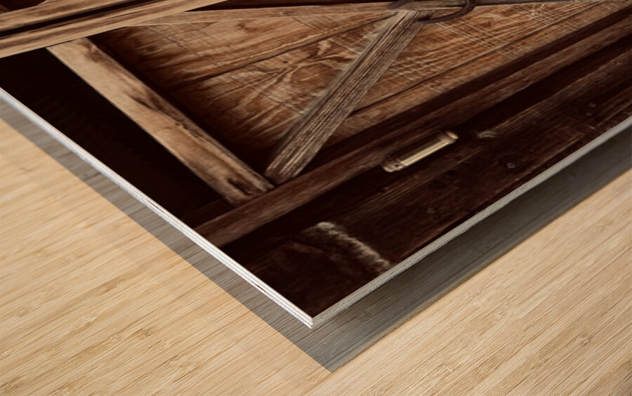 Swingin’ Doors Wood print