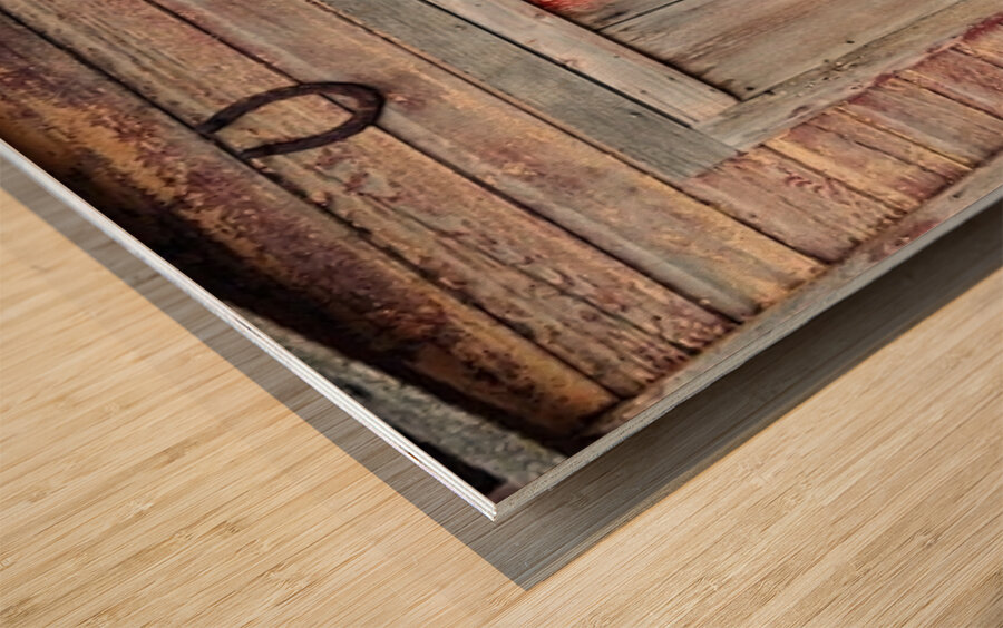 Outhouse -1 Wood print