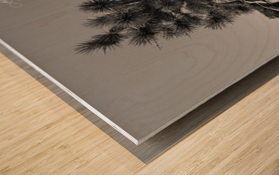 Joshua Tree Wood print