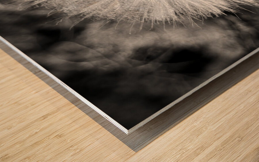 Dandelion Wood print