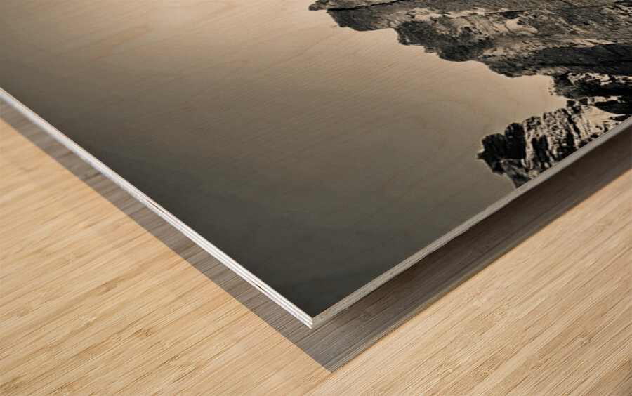 The Feathers Wood print