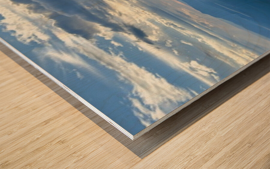 Monsoon Season -2 Wood print