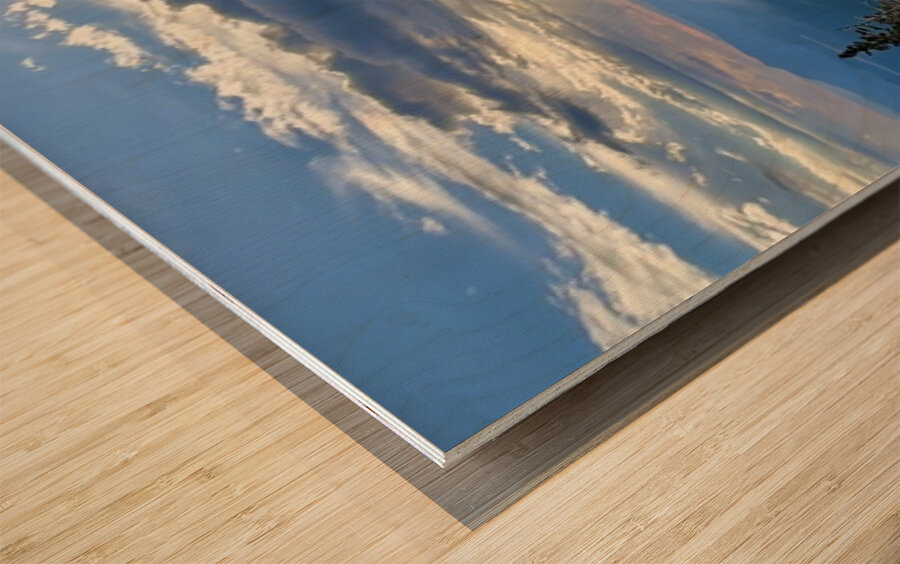 Monsoon Season -1 Wood print