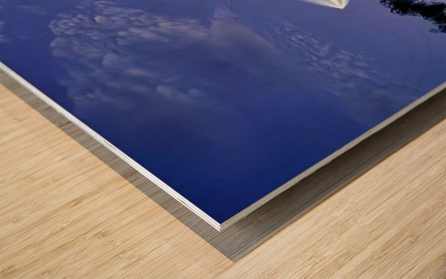 Space X launch -2 Wood print