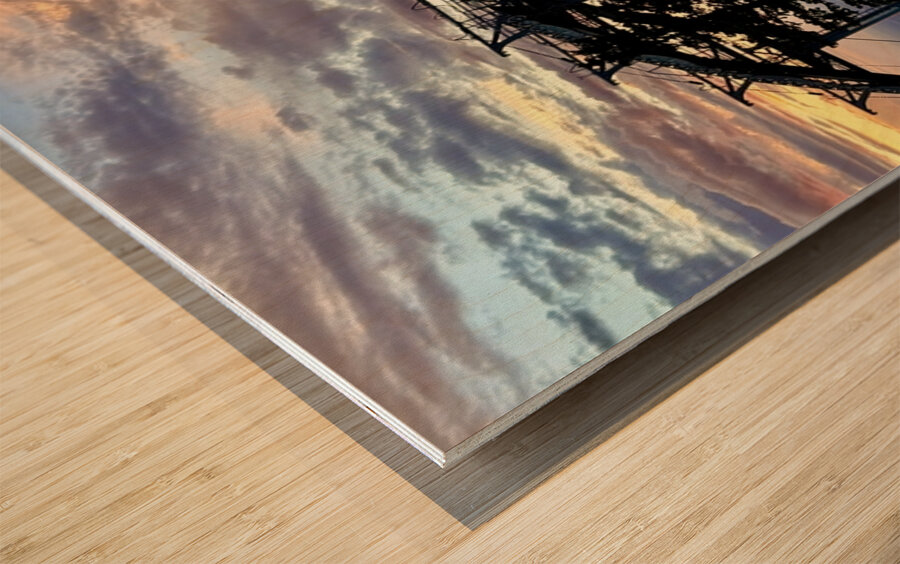 Gondola Ride to Sunset Wood print