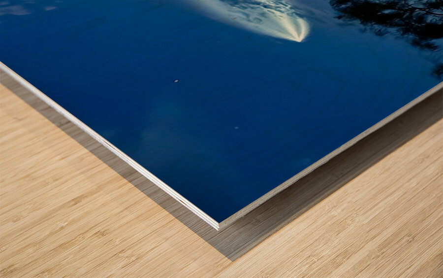 Space X Launch -1 Wood print