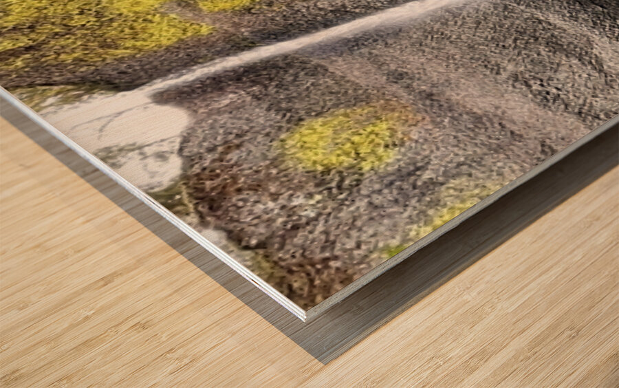 Latourell Falls  Wood print