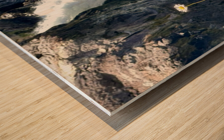 Snoqualmie falls through the Daiseys Wood print