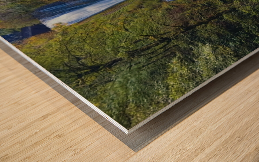 Bridal Veil Falls Oregon Wood print