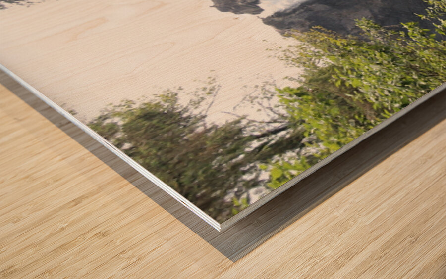 Snoqualmie Falls  from below Wood print