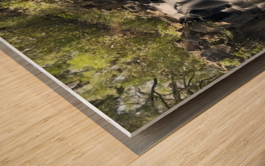 Lower Falls Twin Falls Maui Hawaii Wood print