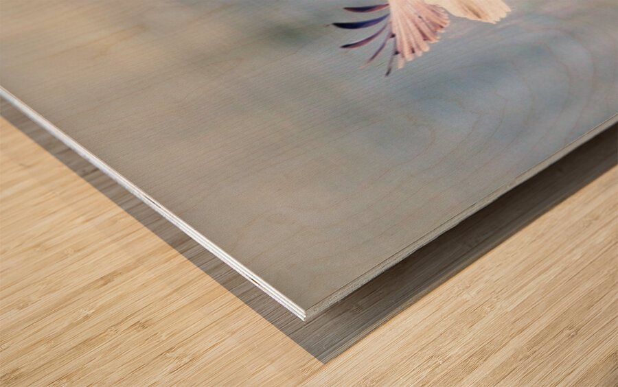 Take Flight Wood print