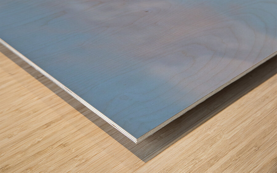 Pelican flight Wood print