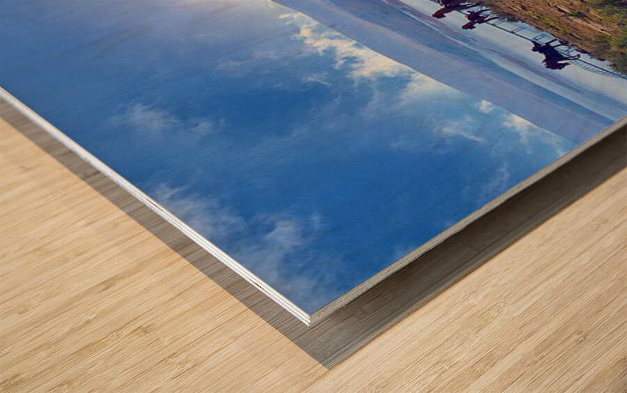 Wild Horses Monument Wood print