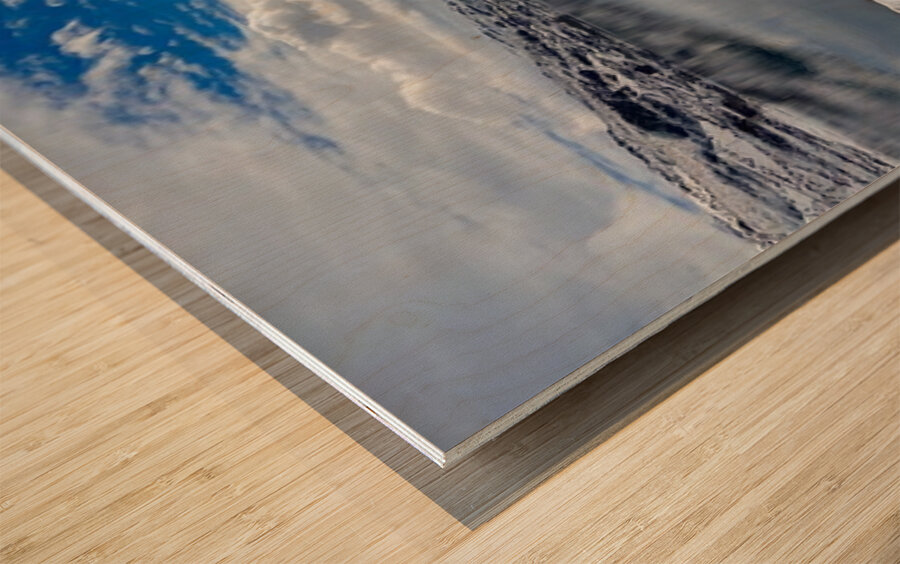 Winter Cove Wood print