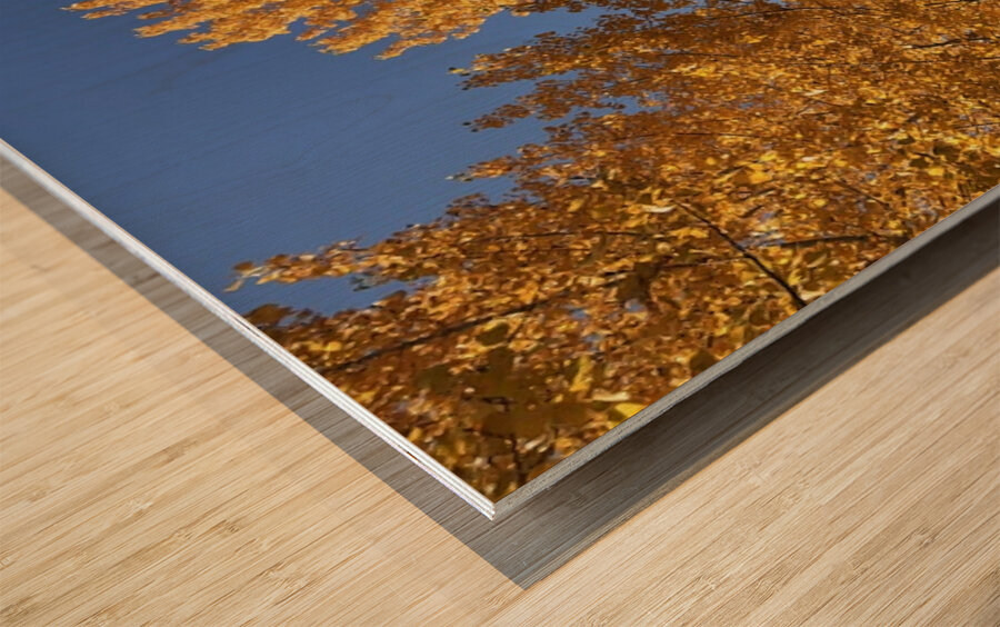 The Road to Cave B Wood print